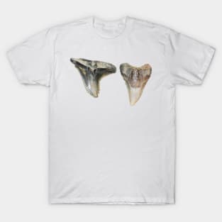 Two Shark Teeth Fossil Print T-Shirt